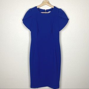 Calvin Klein Tulip Sleeve Blue Dress Size 6